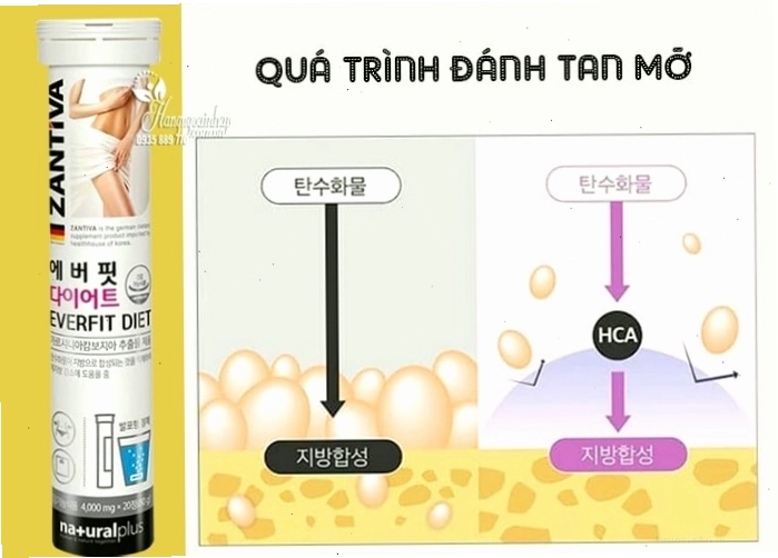 Thành phần chính của viên sủi giảm cân Zantiva