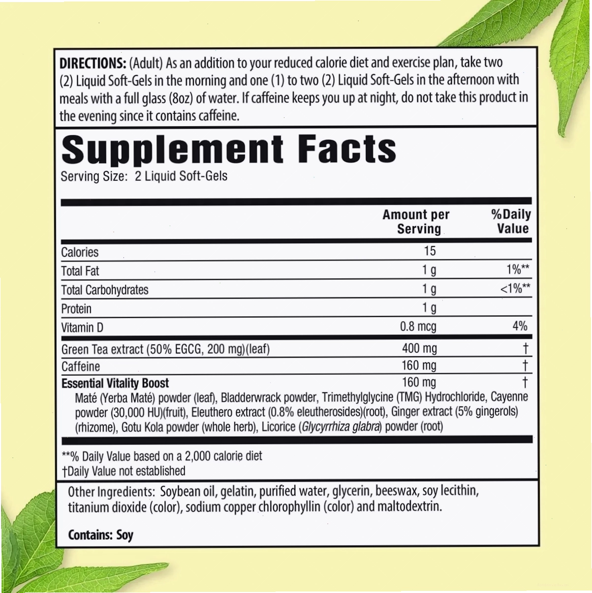 Thành phần chính của viên uống giảm cân trà xanh Green Tea Fat Burner