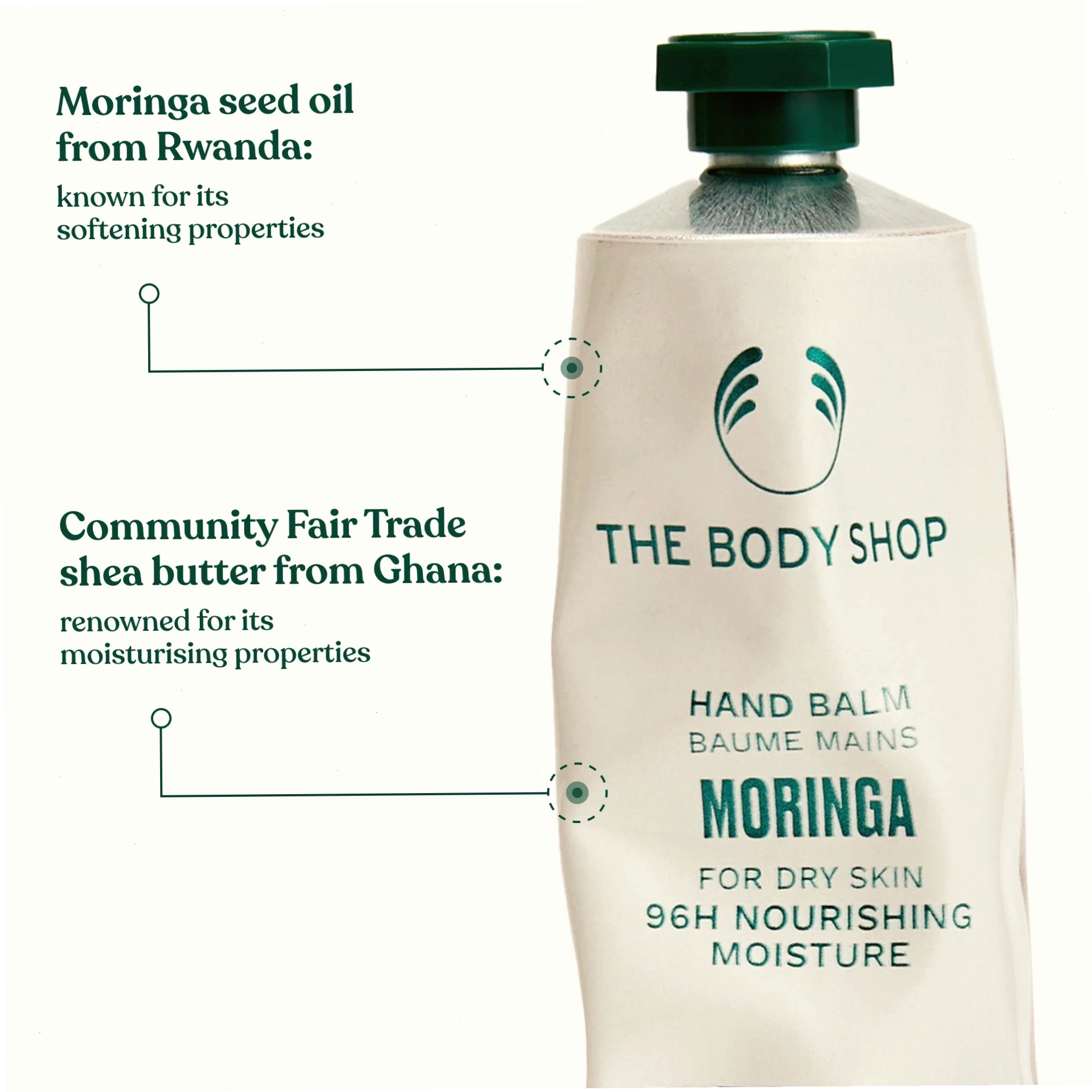 Thành phần chính và lợi ích của Dầu Chùm Ngây The Body Shop