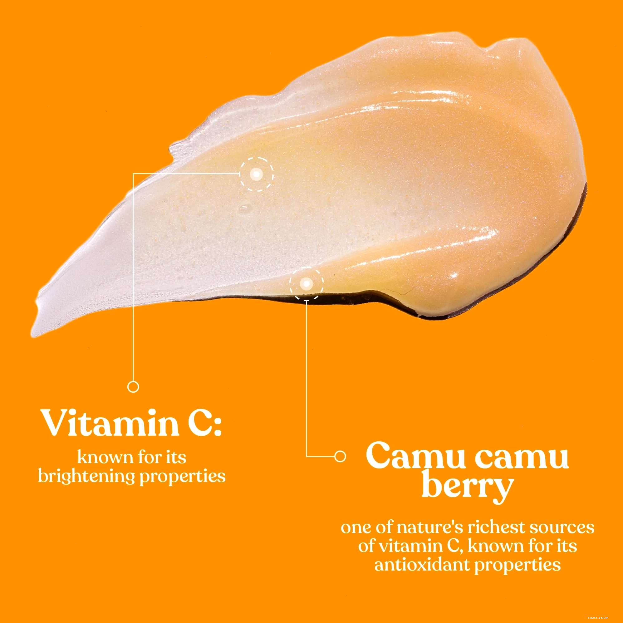 Thành phần chính và lợi ích của Vitamin C Skin Boost