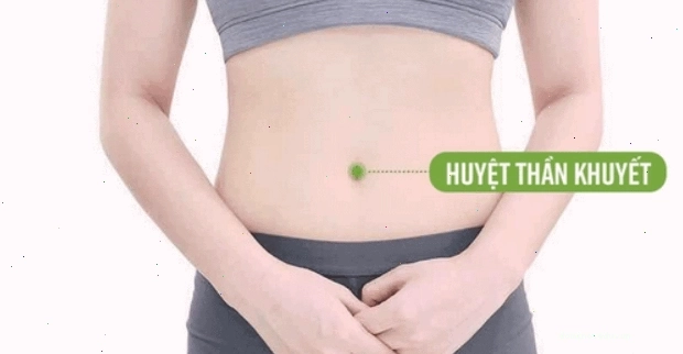 Thành phần tự nhiên của miếng dán giảm mỡ bụng được quảng cáo