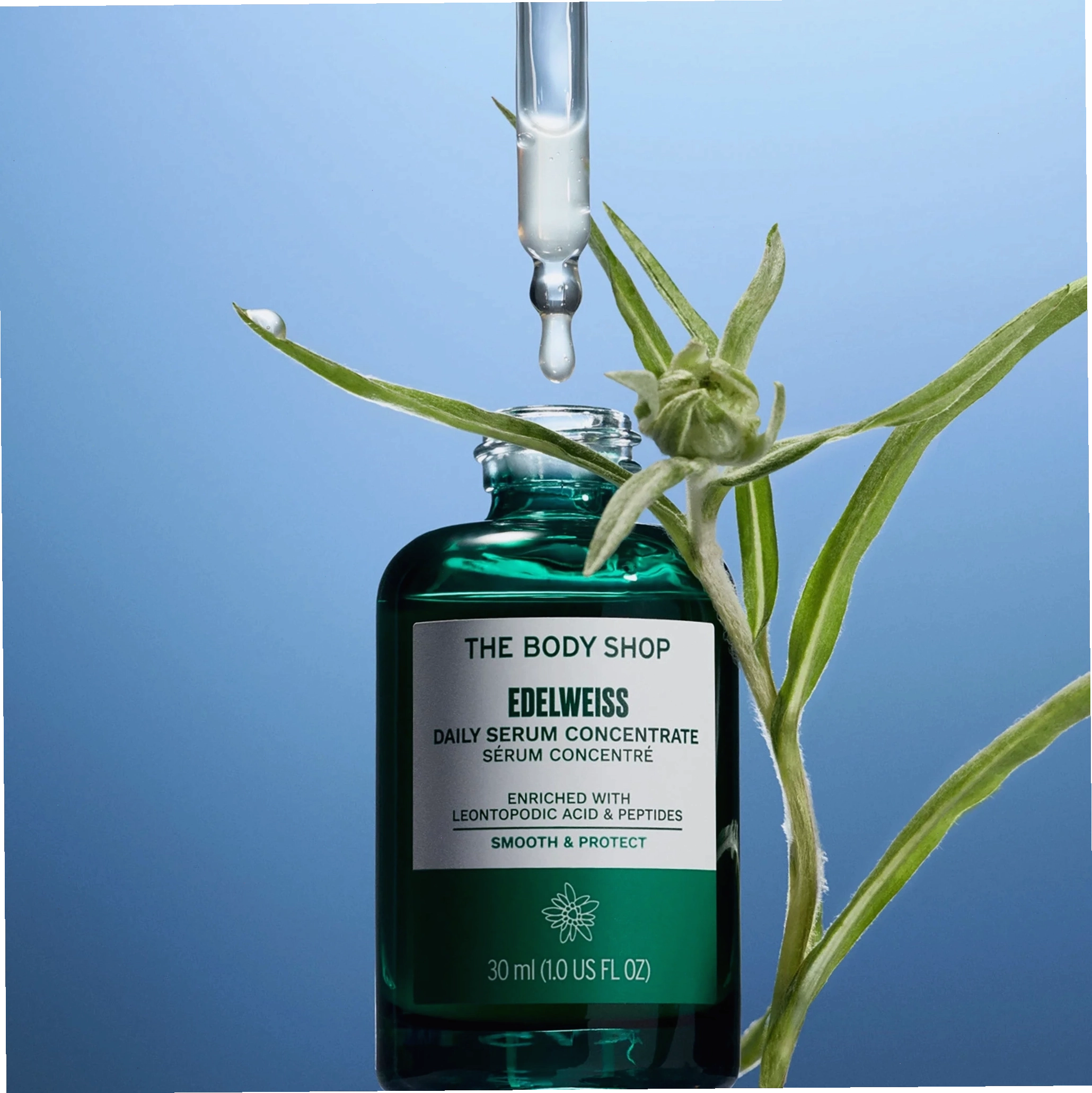 The Body Shop Edelweiss Daily Serum Concentrate with a dropper and plant on a blue background