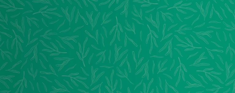 The Body Shop Tea Tree Oil: Giải pháp trị mụn hiệu quả và lành tính