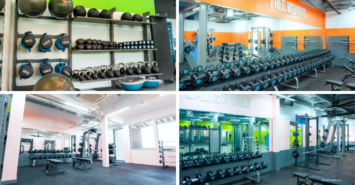 The New Gym - Không gian tập luyện hiện đại và thân thiện