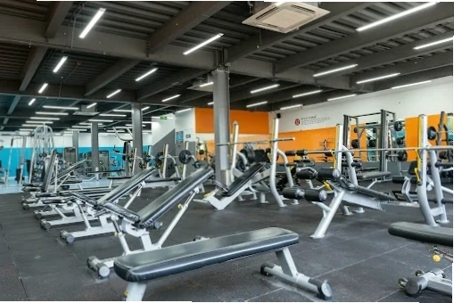 The New Gym Quận 7 Thành Phố Hồ Chí Minh với hệ thống check-in hiện đại