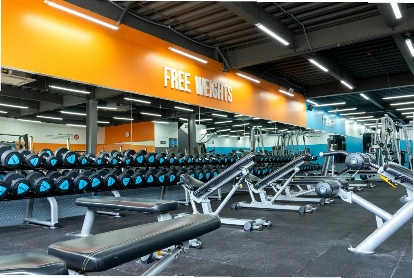 Thiết bị tập luyện đa dạng tại The New Gym