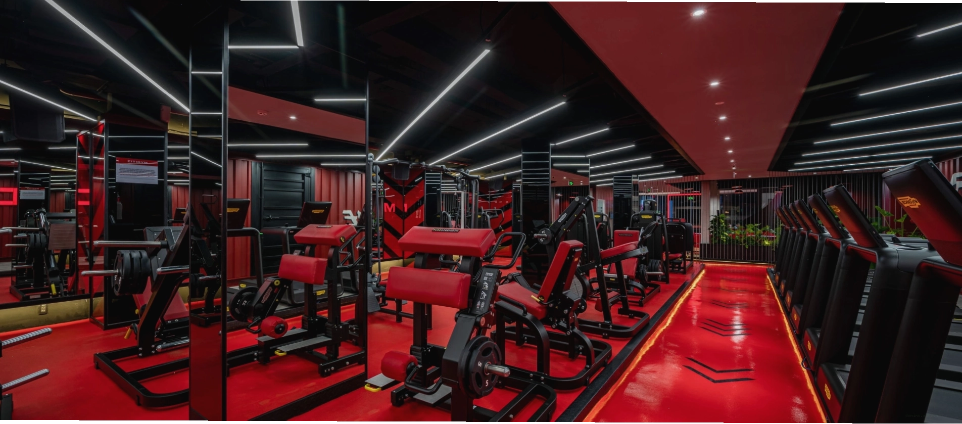 Thiết bị tập luyện hiện đại tại City Gym Điện Biên Phủ