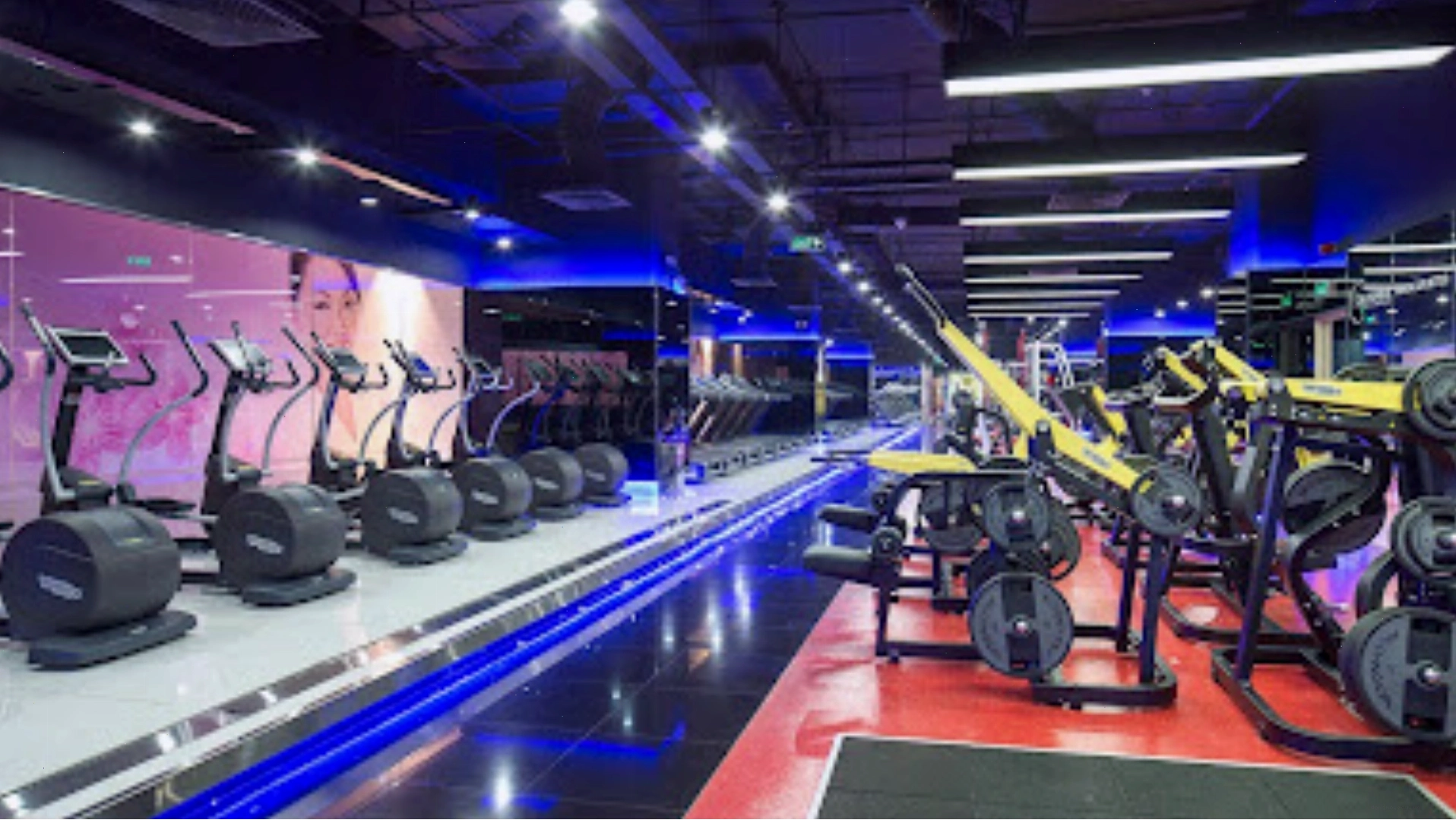 Thiết bị tập tạ đa dạng tại Gym Ngọc Thành