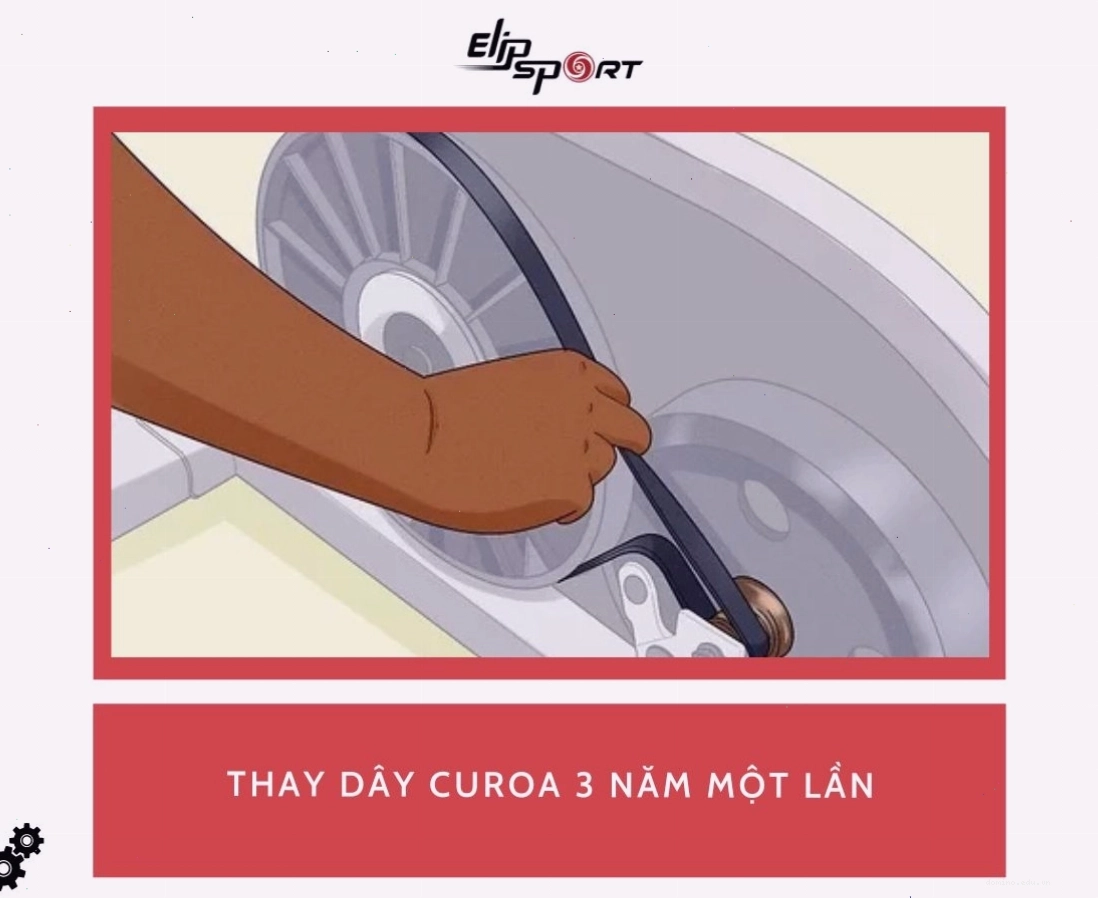 Thời điểm thích hợp để thay dây curoa xe đạp tập thể dục