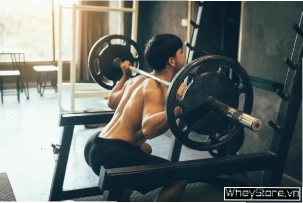 Thực hiện bài tập Barbell Back Squat đúng kỹ thuật