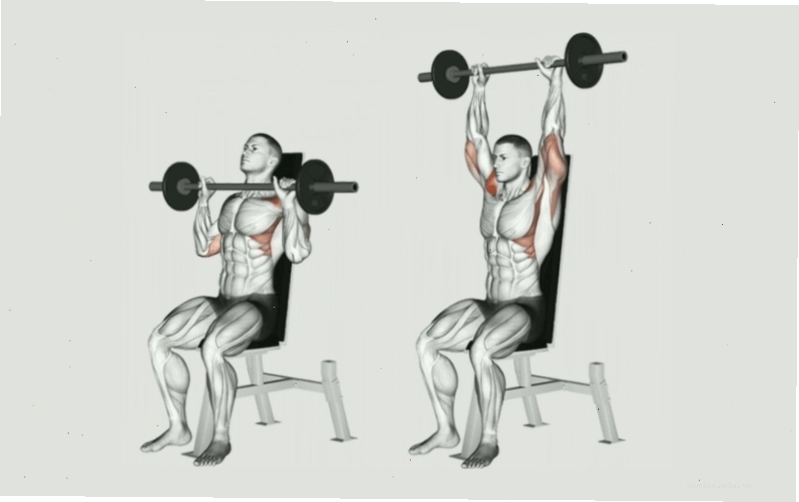 Thực hiện bài tập Barbell Overhead Press