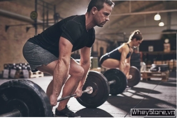 Thực hiện bài tập Bent Over Row với tạ đòn