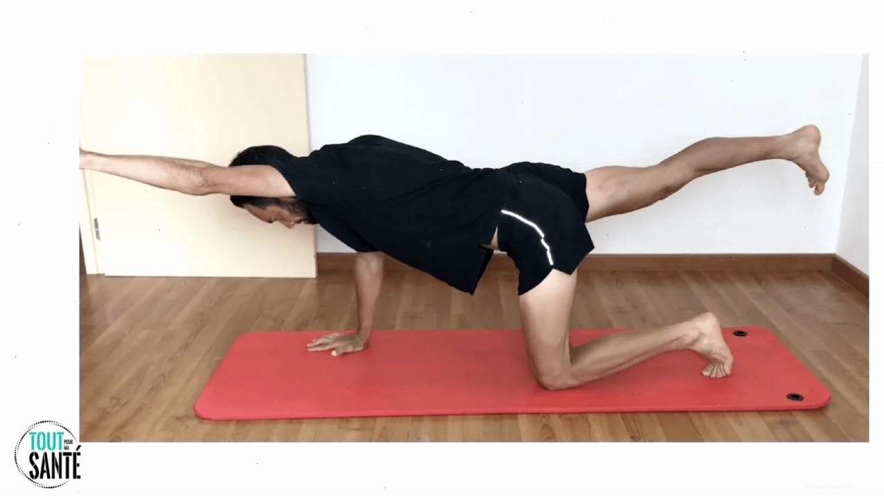 Thực hiện bài tập Bird Dog giữ thăng bằng