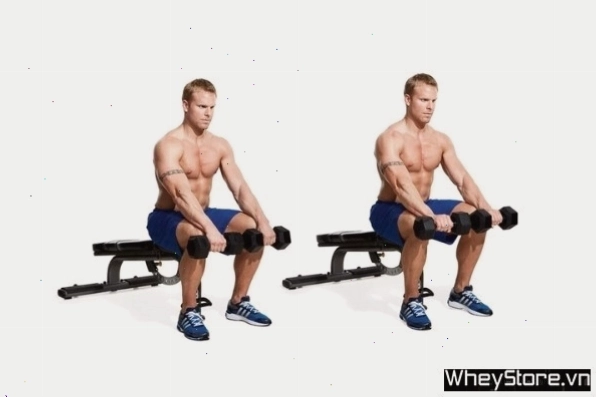 Thực hiện bài tập cuốn tạ ngược với cổ tay (Reverse Dumbbell Curl)