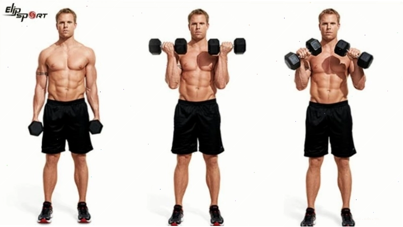 Thực hiện bài tập Dumbbell Bicep Curl đúng kỹ thuật