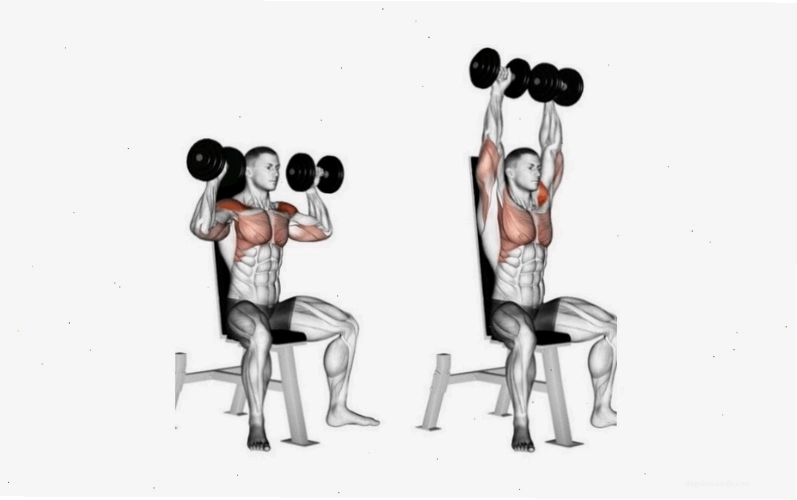 Thực hiện bài tập Dumbbell Shoulder Press