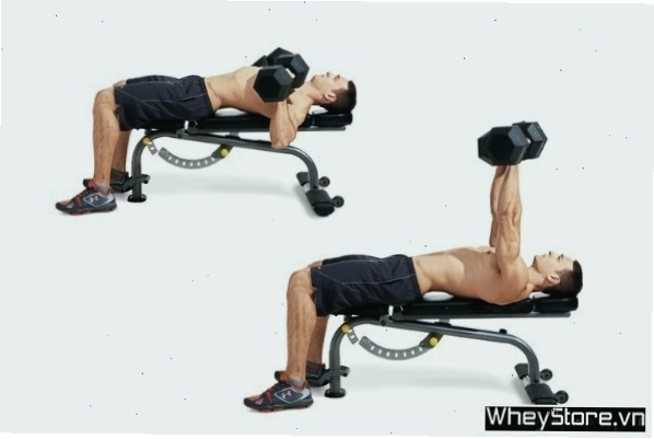 Thực hiện bài tập Incline Dumbbell Bench Press