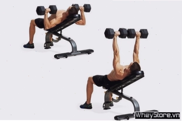 Thực hiện bài tập Incline Dumbbell Bench Press với tạ đơn trên ghế dốc