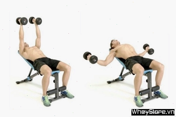 Thực hiện bài tập Incline Fly Press với tạ đơn