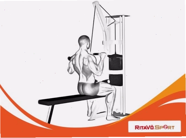 Thực hiện bài tập Lat-pull down với máy kéo cáp