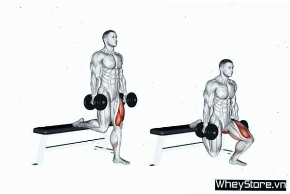 Thực hiện bài tập Leg Press để tăng cơ bắp chân