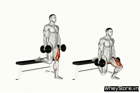 Thực hiện bài tập Leg Press đúng kỹ thuật để tăng kích thước bắp chân
