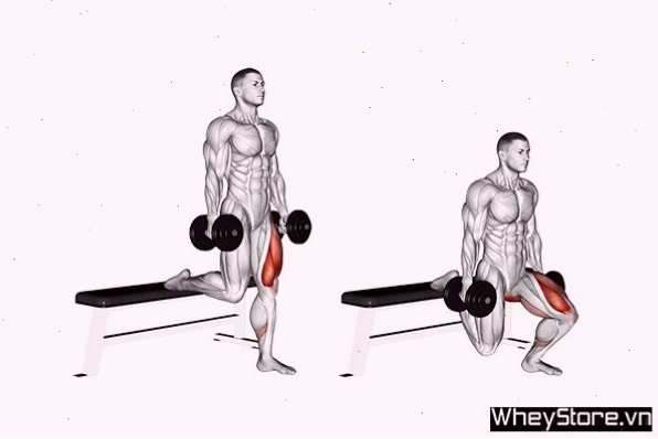 Thực hiện bài tập Leg Press với máy tập