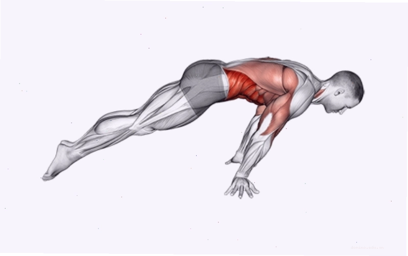 Thực hiện bài tập Planche Lean Push Up
