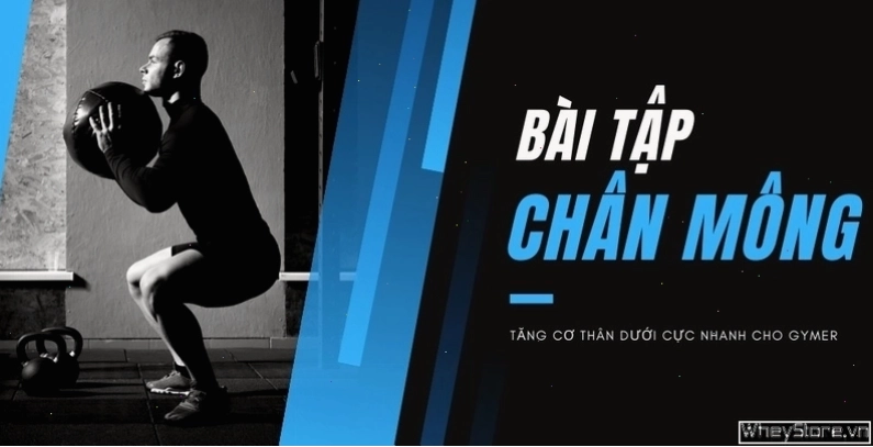 Thực hiện bài tập Seated Leg Curl trên máy
