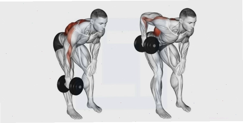 Thực hiện bài tập Single Arm Bent Over Rows với tạ đơn