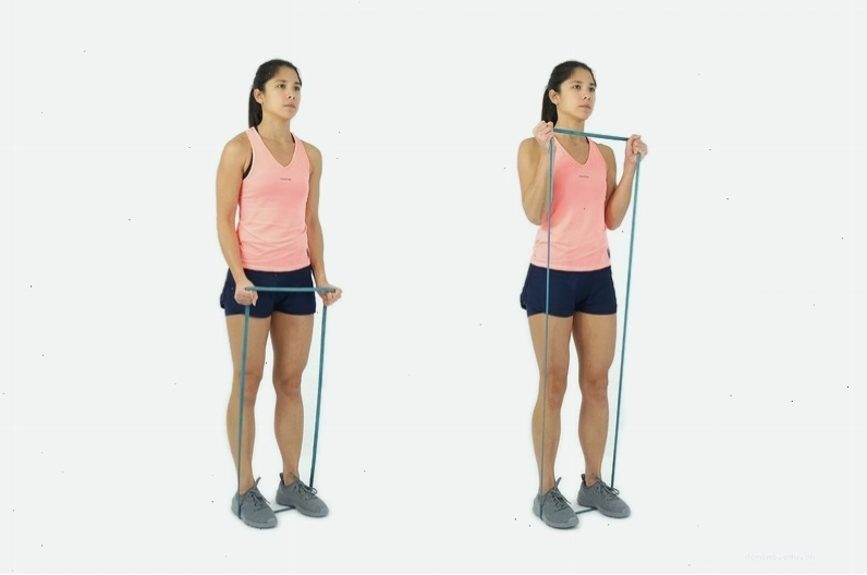 Thực hiện bài tập Standing Bicep Curl với dây kháng lực
