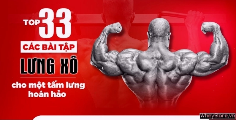 Thực hiện bài tập T-Bar Row với máy chuyên dụng
