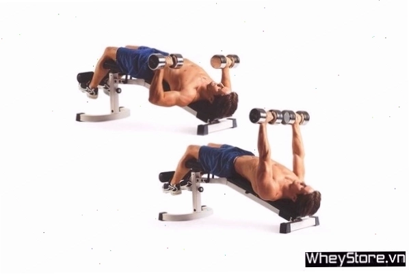 Thực hiện động tác Decline Dumbbell Bench Press trên ghế dốc xuống