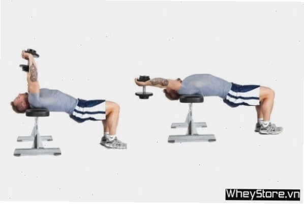 Thực hiện động tác Dumbbell Chest Pullovers
