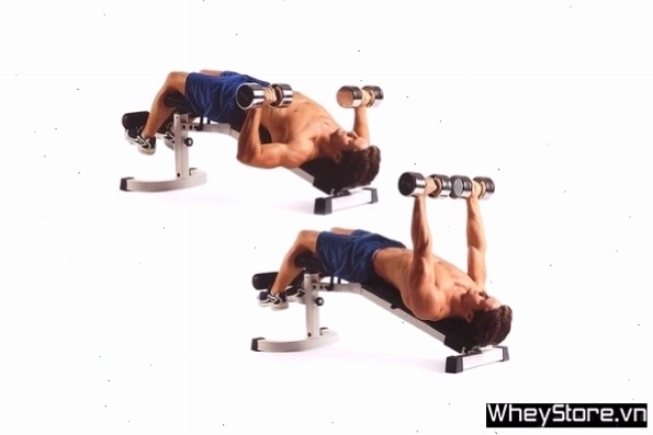 Thực hiện động tác Dumbbell Chest Pullovers