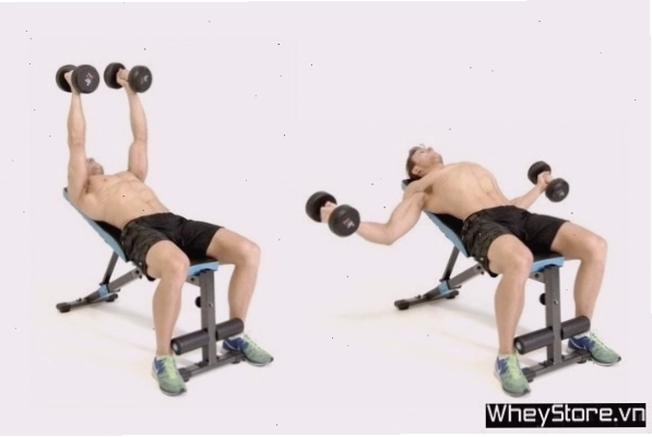 Thực hiện động tác Incline Fly Press với tạ đơn để tác động vào ngực trên