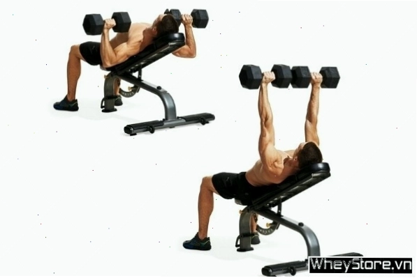 Thực hiện động tác Incline Fly Press với tạ đơn trên ghế dốc