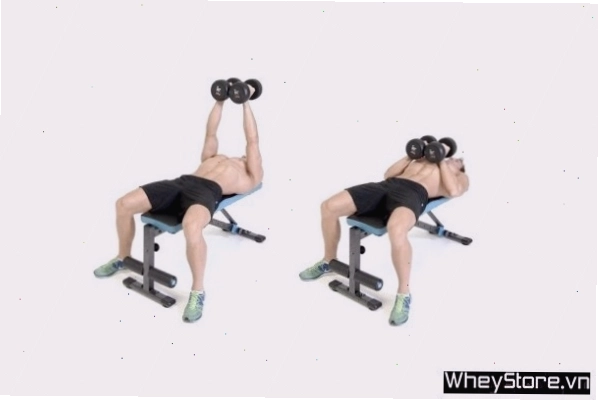 Thực hiện động tác Squeeze Dumbbell Press