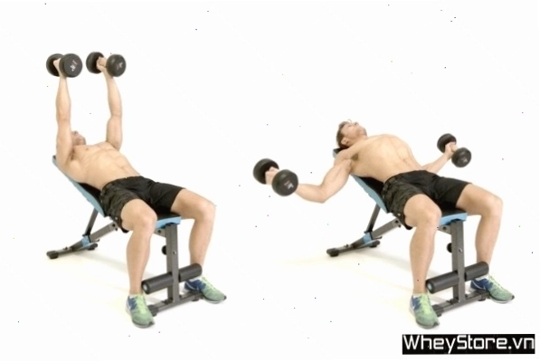 Thực hiện động tác Standard Dumbbell Chest Press trên ghế phẳng