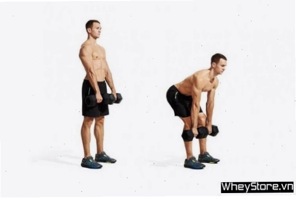 Thực hiện Dumbbell Deadlift với tạ đơn