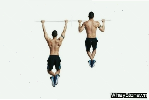 Thực hiện Reverse Dumbbell Curl (Cuốn ngược tạ) cho cơ duỗi cẳng tay