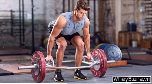 Thực hiện Romanian Deadlift tập trung vào đùi sau và mông