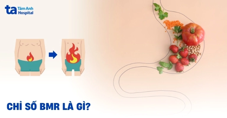 Tính BMR Giảm Cân: Công Cụ Đắc Lực Cho Hành Trình Khoa Học