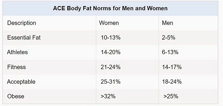 Tính Bodyfat: Công thức Chuẩn và Phân loại Tỷ lệ Mỡ Cơ thể