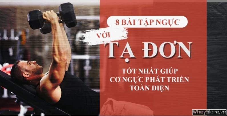 Tổng hợp các bài tập ngực với tạ đơn hiệu quả