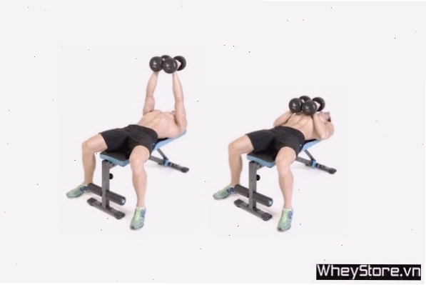 Tổng hợp các bài tập ngực với tạ đơn hiệu quả