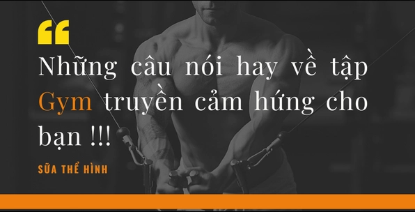 Tổng hợp những stt hay về tập gym tạo động lực 2026