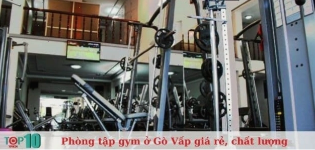 Tổng quan không gian Royal Gym Gò Vấp với cây xanh bao quanh