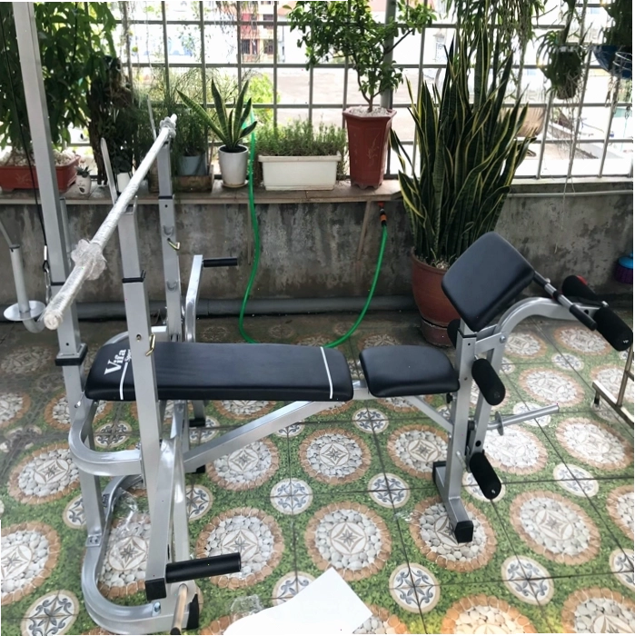 Tổng quan về Ghế tập gym đa năng PT5033 của Vifa Sport