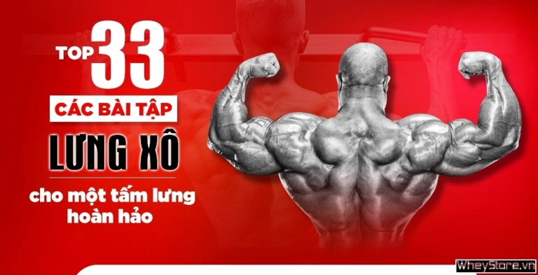 Top 33 Bài Tập Lưng Xô Hiệu Quả Nhất Cho Gymer Năm 2026